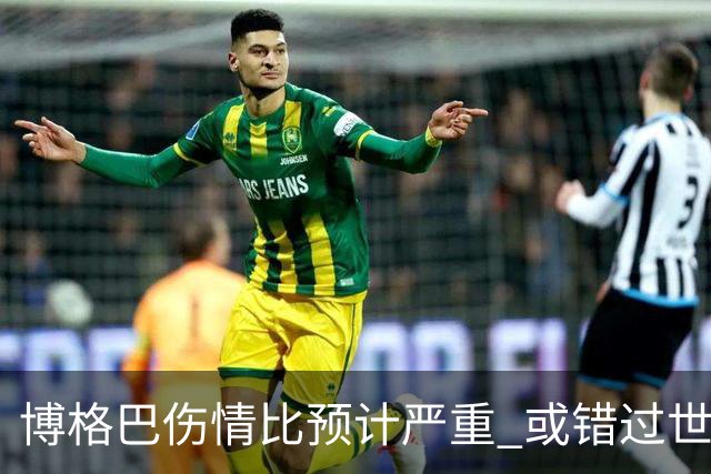 博格巴伤情比预计严重 或错过世界杯到明年才复出